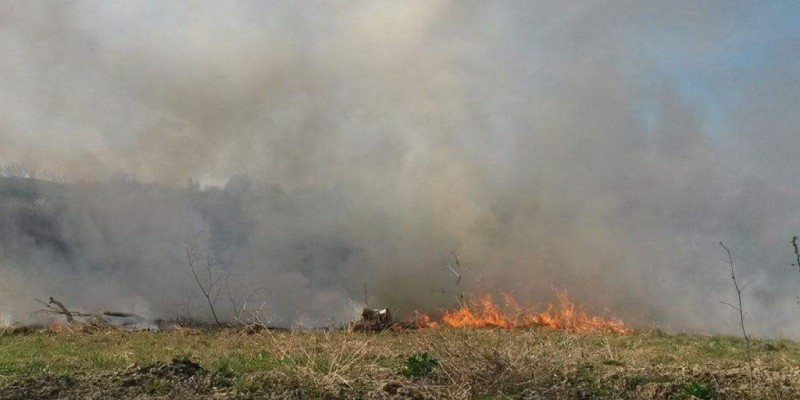 Pozar-crnilovec-002-800x400