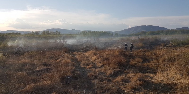 intervencija-1-800x400